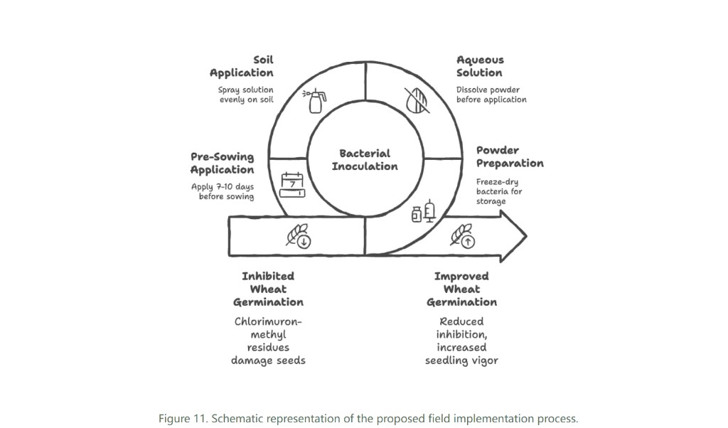 Figure 11. Proposed field implementation